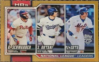 National League Leaders HRs