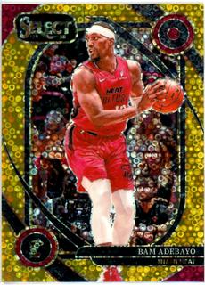 Bam Adebayo