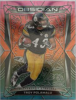 Troy Polamalu