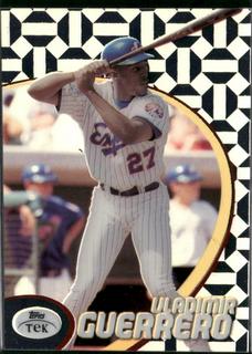 Vladimir Guerrero