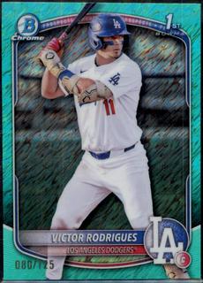 Victor Rodrigues