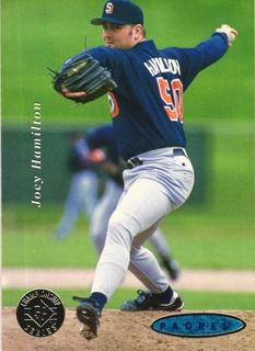 Joey Hamilton