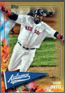 David Ortiz