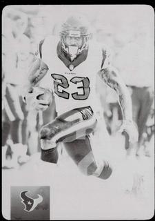 Arian Foster