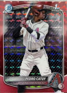 Pedro Catuy