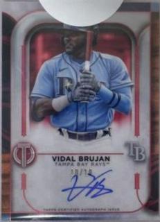 Vidal Brujan