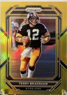 Terry Bradshaw