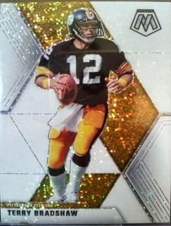 Terry Bradshaw