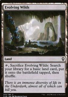 Evolving Wilds