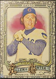 Ron Santo