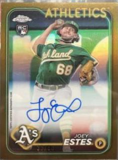 Joey Estes