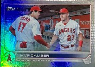 Mike Trout / Shohei Ohtani