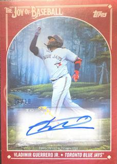 Vladimir Guerrero Jr.