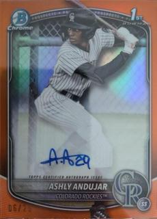 Ashly Andujar