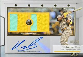 Nelson Cruz