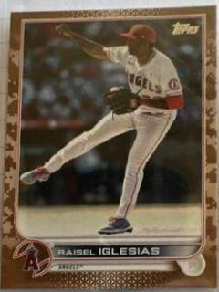 Raisel Iglesias