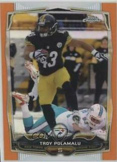 Troy Polamalu