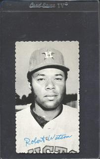 Bob Watson
