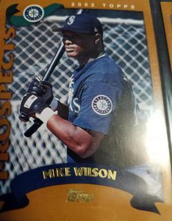 Mike Wilson