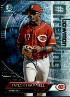 Taylor Trammell