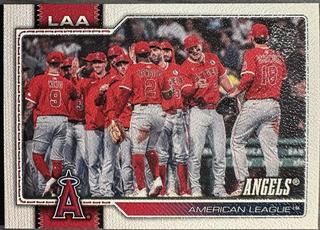 Team Card