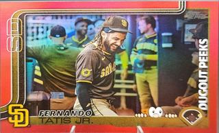 Fernando Tatis Jr.