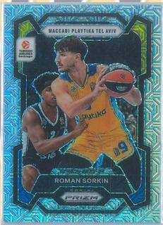 Roman Sorkin