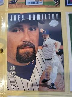 Joey Hamilton