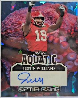 Justin Williams