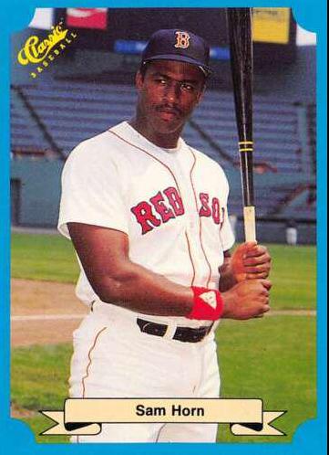 Sam Horn #204 Baseball Cards 1988 Classic