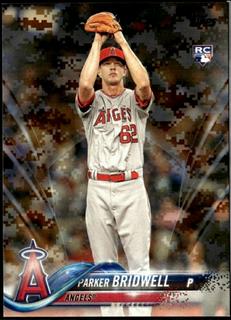 Parker Bridwell
