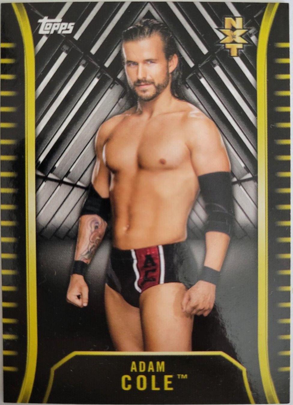 Adam Cole #R-1 Wrestling Cards 2018 Topps WWE NXT