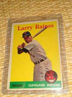 Larry Raines