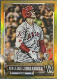 Shohei Ohtani