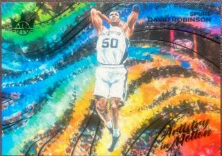 David Robinson