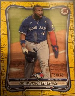 Vladimir Guerrero Jr.