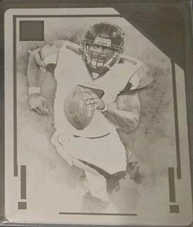 Michael Vick