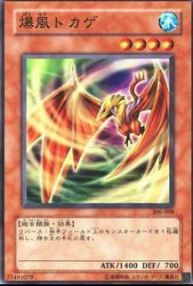 Gale Lizard 306-008