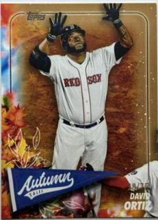 David Ortiz