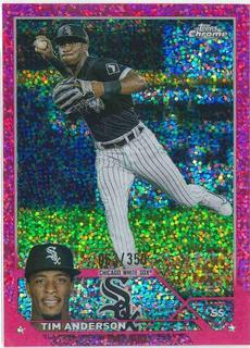 Tim Anderson