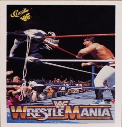 Davey Boy Smith, Danny Davis #21 Wrestling Cards 1990 Classic WWF The History of Wrestlemania
