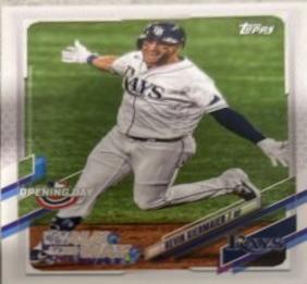 Kevin Kiermaier