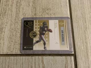 Michael Vick