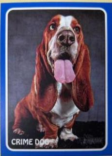 Crime Dog