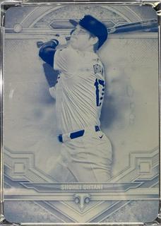 Shohei Ohtani