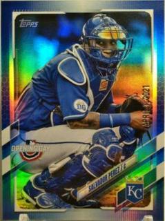 Salvador Perez