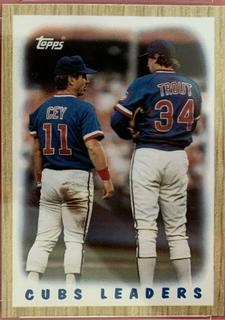 Cubs Leaders