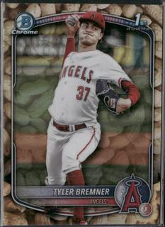 Tyler Bremner