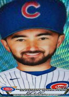 Brandon Workman