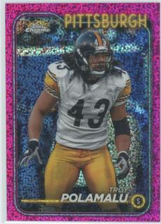 Troy Polamalu